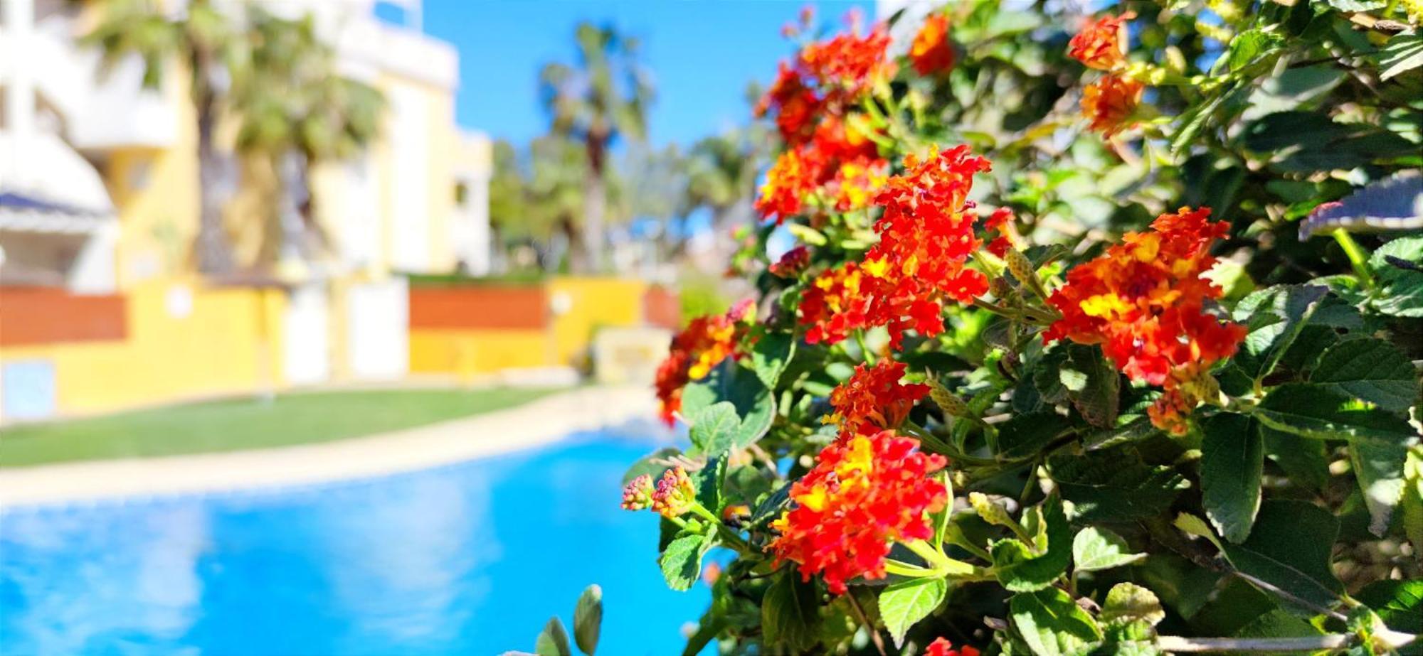 Apartamento Playa Sol By Denia Costa 外观 照片